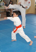 Karate Picture 2